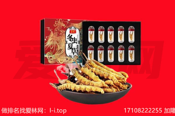 双鸭山回收虫草.jpg